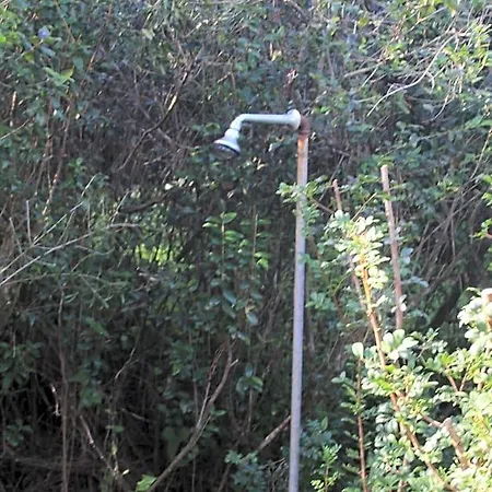 فندق مبيت وإفطار Sa Serra ستينتينو